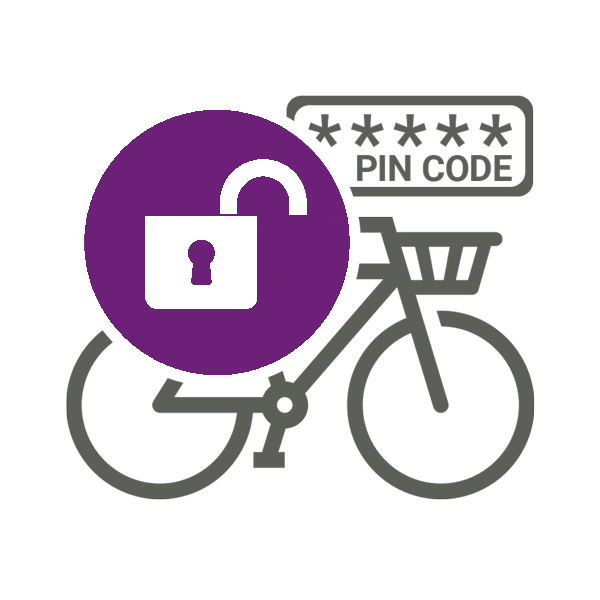 Rent a bike